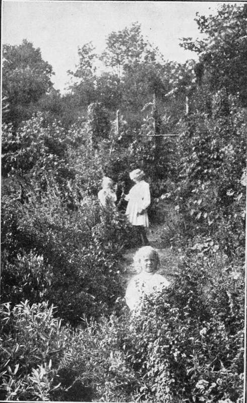 Herbs and Children, a Happy Harmony