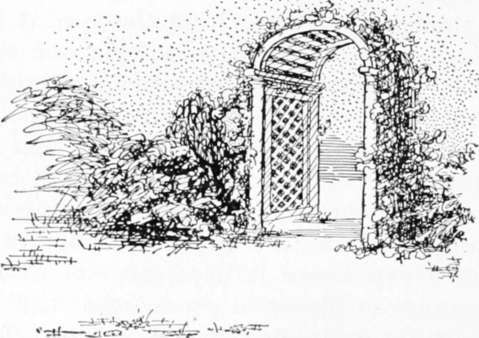 Garden Gate and Rose Trellis.